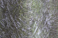 Dinckley fibreglass roof work