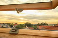 rated Dinckley roof window companies